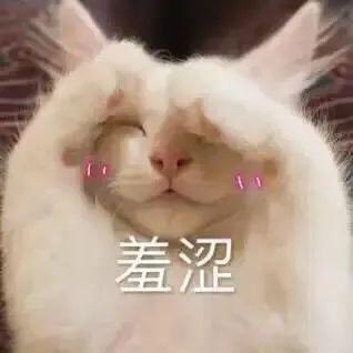  竖起大拇哥丨第964期喵表情包