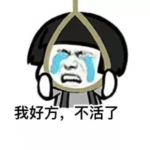 啪的一声没了的表情包游