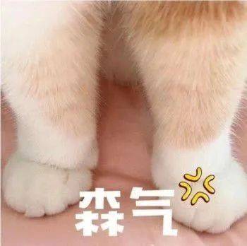  表情包姐妹成队,快乐加倍