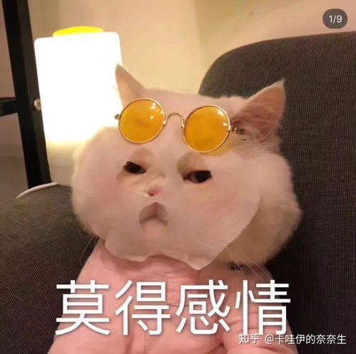  帅哥为什么这么喜欢颜值中等的女生