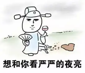  盘点毁童年的广告为什么追我我要急支糖浆