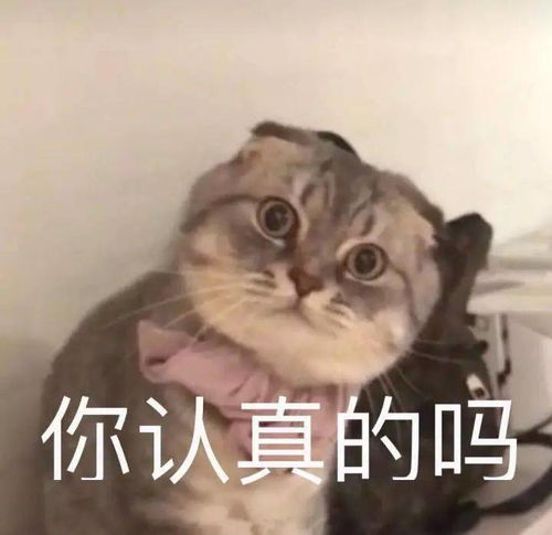  家中起火,大人不在家,7岁姐姐从容报火警,带4岁弟弟逃离火场火灾