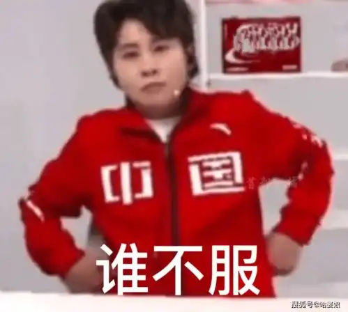 旅游愉快表情包王濛