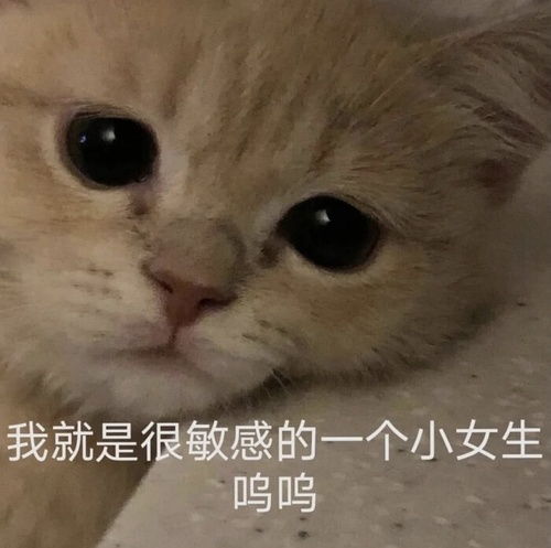  恋爱