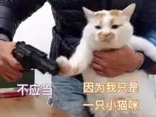 呜呜呜呜的表情包可爱垃