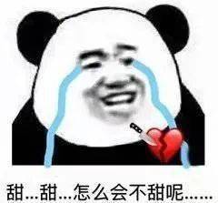  熊猫头吵架必备表情包