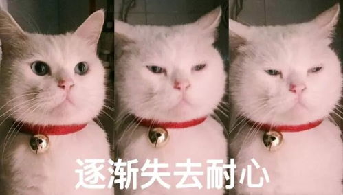  番禺人,小心冻哭冷空气明天正式发威气温最低7