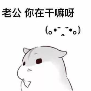 老公要抱抱表情包钱钱