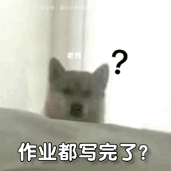  聊天沙雕必备丨狗子拿刀表情包,就问你怕不怕