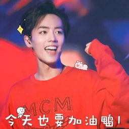 肖战表情包可保存小面包