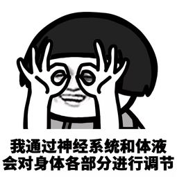  冬天来了,头有点冷