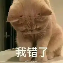 沙雕表情我虽然错了,但是原谅我就是你的问题 沙雕表情我虽然错了,但是原谅我就是你的问题