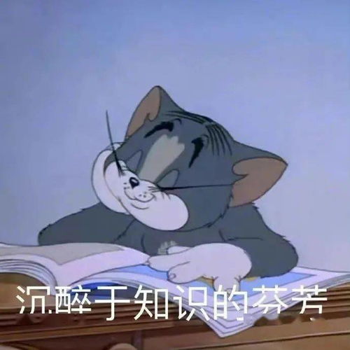  华威周边游攻略周末去哪里宝藏小镇城堡你打卡了吗
