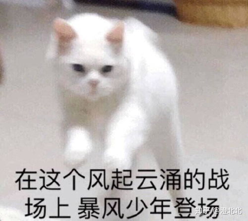  高中最应该学到的是什么