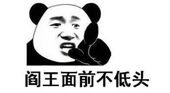 熊猫头喝酒表情包红牛雪碧牛栏山,黄泉路上不孤单