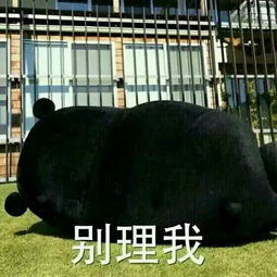  如果你们每个人给我一张表情包