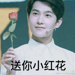 wink表情包小男孩杨洋