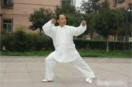  李海水老师传统杨氏太极拳85式完整演示