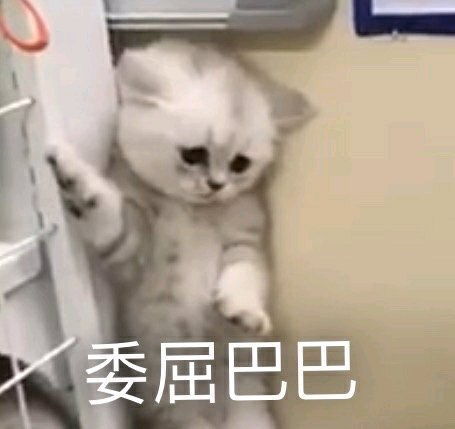  笑话段子说好一起到白头,你却半路焗了油