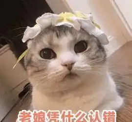 猫奴,就是表面是大爷实则是孙子 猫奴,就是表面是大爷实则是孙子