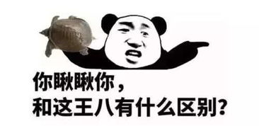  开心一刻和老婆一起去老丈人家,一家人坐在一起边吃饭边聊天