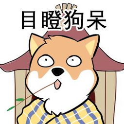  奇俩女购彩者偶遇领走2609万