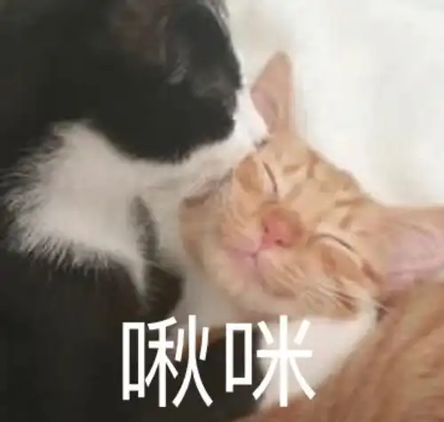 沙雕表情包l这是阳间的话 沙雕表情包l这是阳间的话