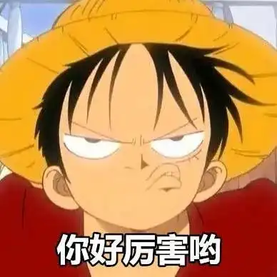  表情海贼王表情包