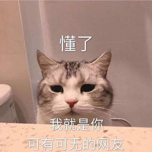  和对象聊天用的可爱表情包