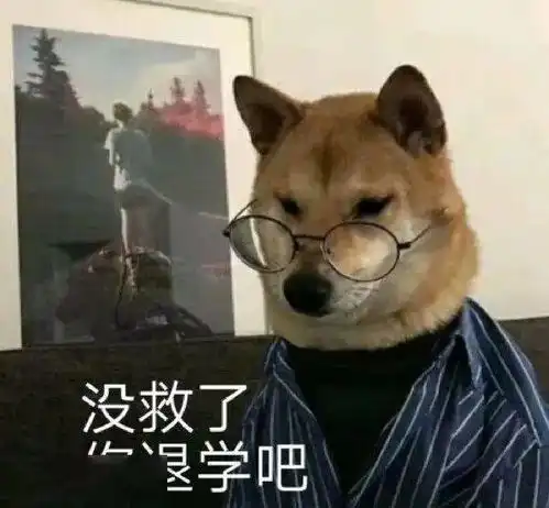 看这届年轻人的大型双反频差show 看这届年轻人的大型双反频差show