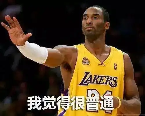  被不同球员封盖次数詹姆斯最多乔丹我让你们一个儿子,我一打二