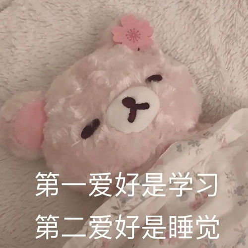  所以,英文摘要要怎么写