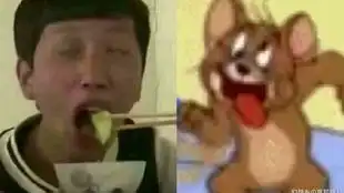  够我得瑟一天了,