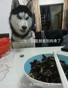 若论不要脸,二哈是无敌的 若论不要脸,二哈是无敌的