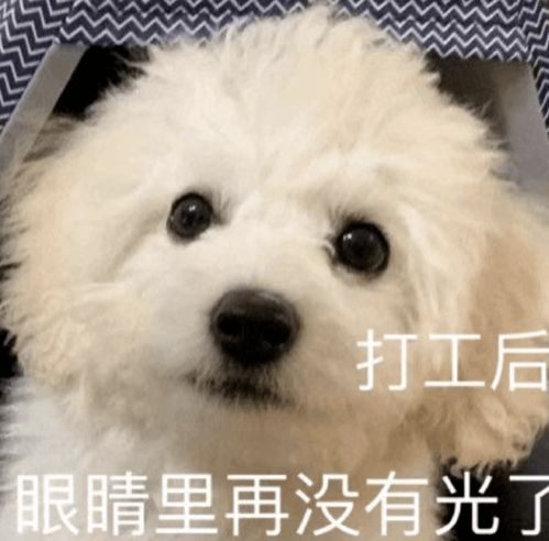  王菊暴瘦到脸颊塌出凹痕,深夜发文控诉公司身材pua