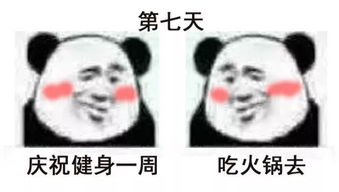 熊猫头表情包i我与朋友的健身生涯,了解一下 熊猫头表情包i我与朋友的健身生涯,了解一下