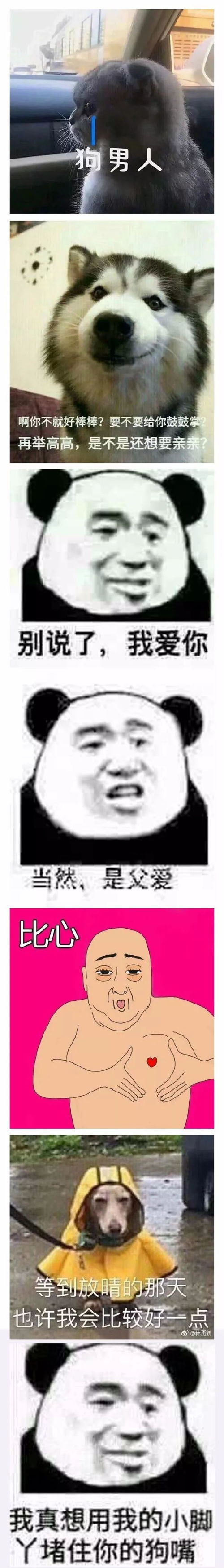  这是一条怼人必胜表情包合集