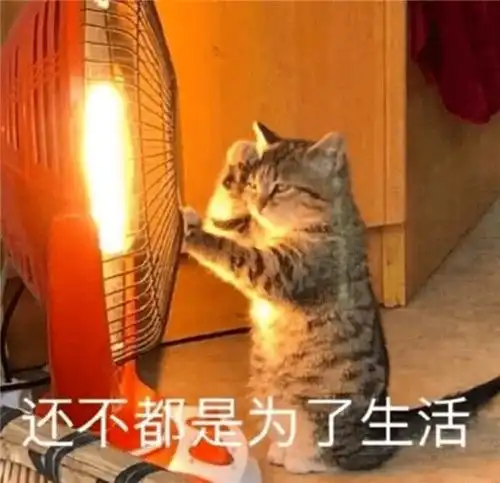 表情包人生存家族