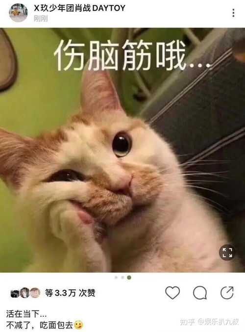  太卑微了肖战父母现身武汉团圆,父子同款下车习惯暗示家庭地位