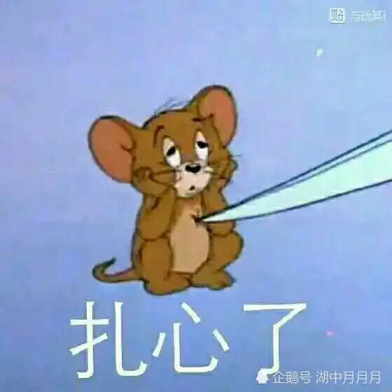 我脑子瓦特了表情包杰瑞