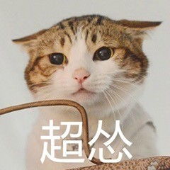  猫咪表情包猫咪微信表情包猫咪qq表情包发表情fabiaoqing.com