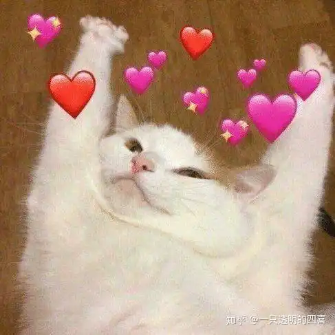 可爱猫猫表情包求一波.. 可爱猫猫表情包求一波..