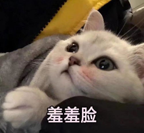  笑话段子二侄子啊,给你爷爷送啥去都行,这麻将桌就别烧了吧