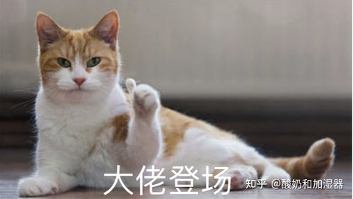 零基础学习素描一个月,能学到什么程度 零基础学习素描一个月,能学到什么程度