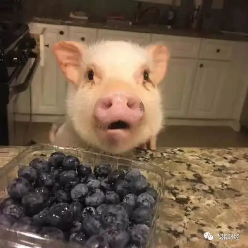 明天该冲高回落了 明天该冲高回落了