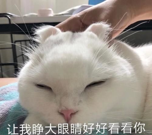  每日一笑一堆的家当很是头疼,闺蜜最终选择了两个最强壮的劳力