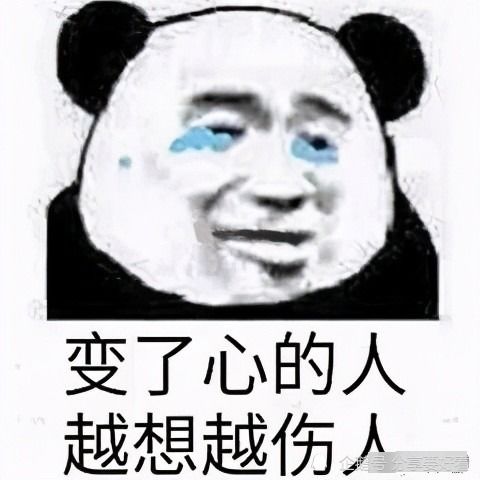  被女粉捧上热搜72小时的草原猛男康巴汉子,为何突然翻车了