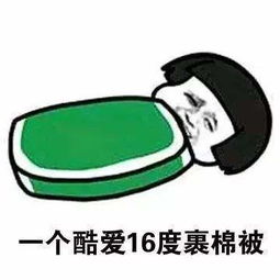  找对象一定要找个空调度数合得来表情包度不同不相为谋表情包高清无水印极光下载站