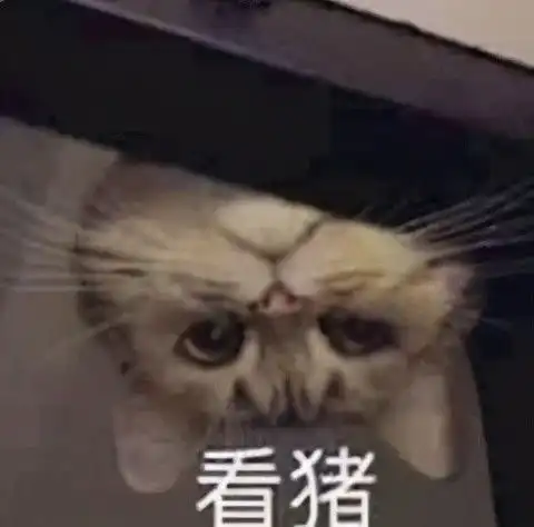 我们找到了杀死海豚的真凶 我们找到了杀死海豚的真凶