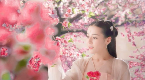  你是我的荣耀定档开播,迪丽热巴原声哭戏台词好有感染力